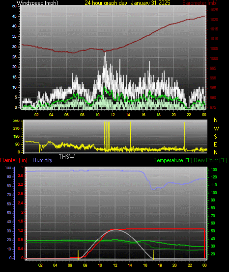 24 Hour Graph for Day 31